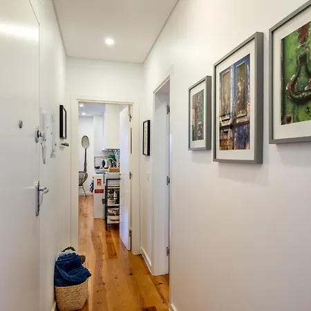 Apartment T1 Oasis With Amazing Terrace